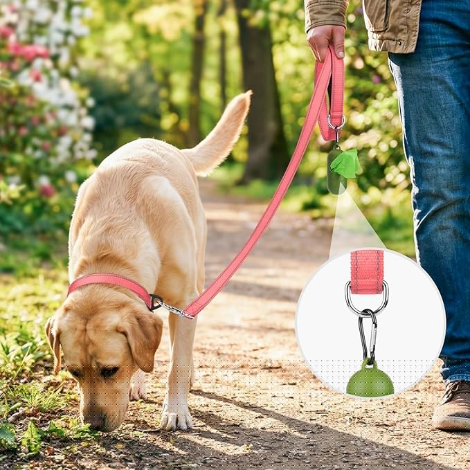 Joytale Dog Leash, 5 FT Double-Sided Reflective, Padded Handle Nylon Heavy Duty Leashes for Small Dogs Walking, Neon Pink