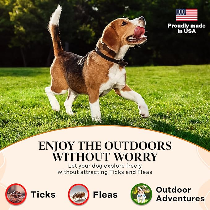 Healthy Dogma - Flee Flea Flee Natural Yeast & Garlic Powder Formula to Keep Fleas and Ticks Away from Dogs - All Natural with No Harmful Chemicals (6 Oz)