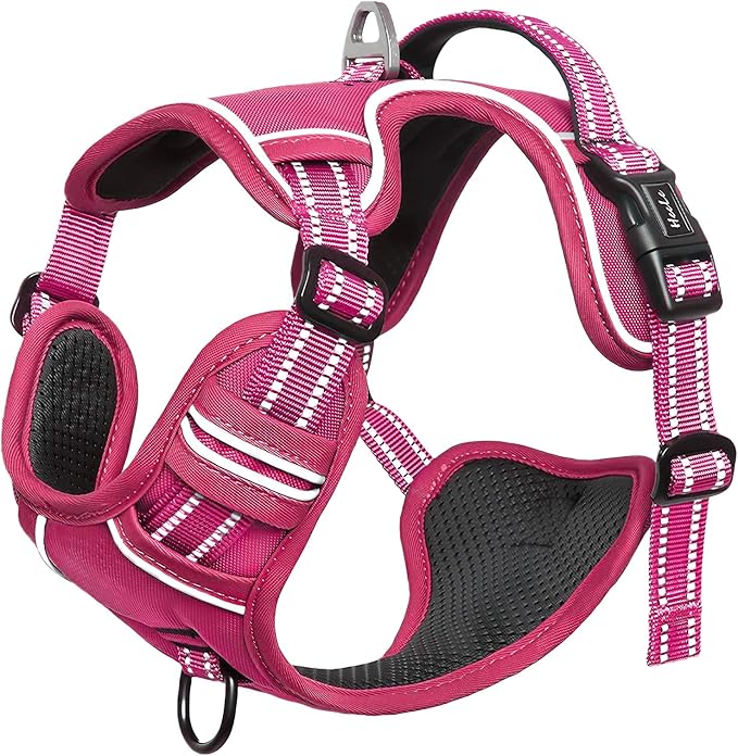 HEELE Dog Harness for Small Dogs No Pull Dog Vest Harness for Small Dog with Soft Padded Handle Reflective for Outdoor Training, Rose(Matching Trim), S
