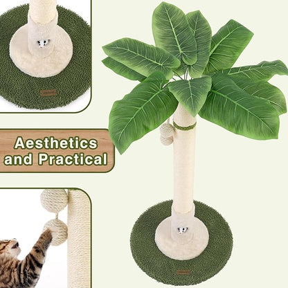 Woochpet Cat Scratching Post for Indoor Cats and Kitten - 35.43" Tall Cat Scratching Post with Sisal Rope,Palm Tree Cat Scratch Post with Hanging Ball (35.4-White, 35.4in)