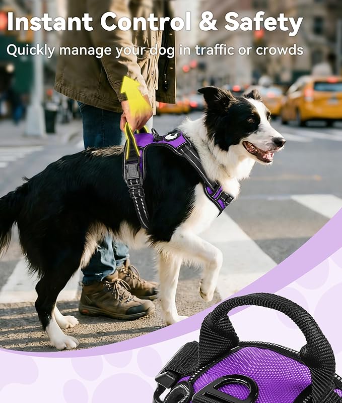 Joytale No Pull Dog Harness for Small Dogs, Reflective Pet Vest with Front Clip, Adjustable Soft Padded Harnesses with Easy Control Handle for Training and Walking, Purple, S