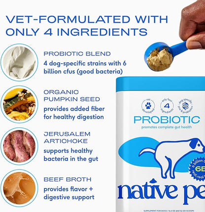 Native Pet Probiotics for Dogs – Dog Probiotic Powder for Gut & Digestive Health, Vet-Formulated 6B CFUs Dog-Specific Probiotic Strains, Supports Stool Quality & Diet Transitions – 60 Scoops