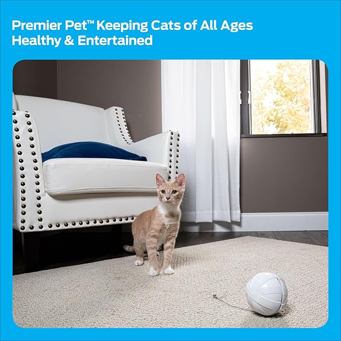 Premier Pet Fox Den Automatic Cat Toy, Interactive Toy for Indoor Cats