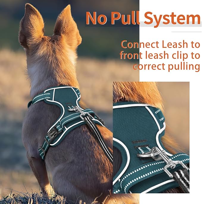 HEELE Dog Harness for Large Dogs No Pull Dog Vest Harness for Large Dog with Soft Padded Handle Reflective for Outdoor Training, Blackish Green, L