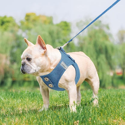PUPTECK Dog Harness and Leash Set for Small Medium Dogs No Pull Step-in Soft Mesh Puppy Cat Vest Harnesses Reflective at Night, Denim Steelblue S