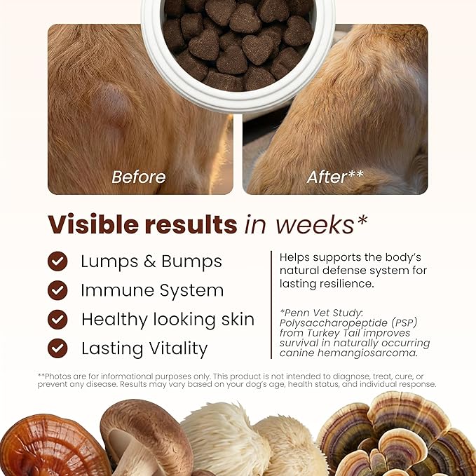 Pawpulse Formula Turkey Tail Mushroom for Dogs - Lipoma, Lumps & Bumps Defense - 7-in-1 Functional Immune Support with Reishi & Lion's Mane - Brain, Vitality, Gut Health & Longevity - 80 Soft Chews