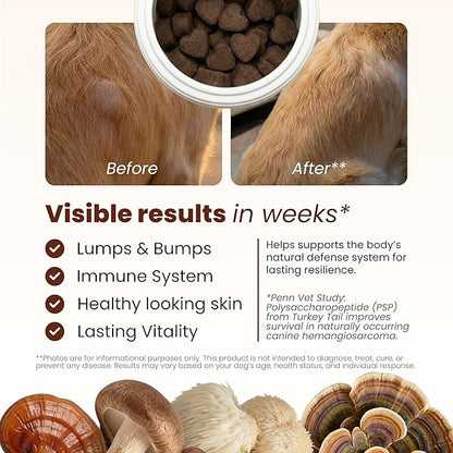 Pawpulse Formula Turkey Tail Mushroom for Dogs - Lipoma, Lumps & Bumps Defense - 7-in-1 Functional Immune Support with Reishi & Lion's Mane - Brain, Vitality, Gut Health & Longevity - 80 Soft Chews