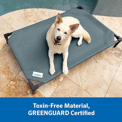 Coolaroo Pro Elevated Dog Bed with HeatShield Fabric – Advanced Cooling Raised Cot for Small & Medium Breeds, Easy-Clean, Low-to-Ground Access, Bonus Bolster Pillow – Everglade Green