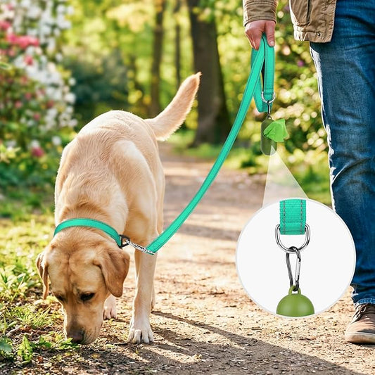 Joytale Dog Leash, 5 FT Double-Sided Reflective, Padded Handle Nylon Heavy Duty Leashes for Small Dogs Walking, Teal