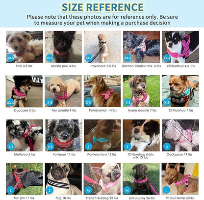 SlowTon No Pull Small Dog Harness and Leash Set, Puppy Soft Vest Harness Neck & Chest Adjustable, Reflective Lightweight & Anti-Twist Pet Lead Combo for Small Medium Dogs (PU-Front Clip, M)