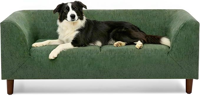 Dog Sofa Couch for Medium Dogs with Backrest and Armrest, Memory Foam Dog Sofa Bed, Modern Elevated Pet Couch Bed with Wooden Legs, Green