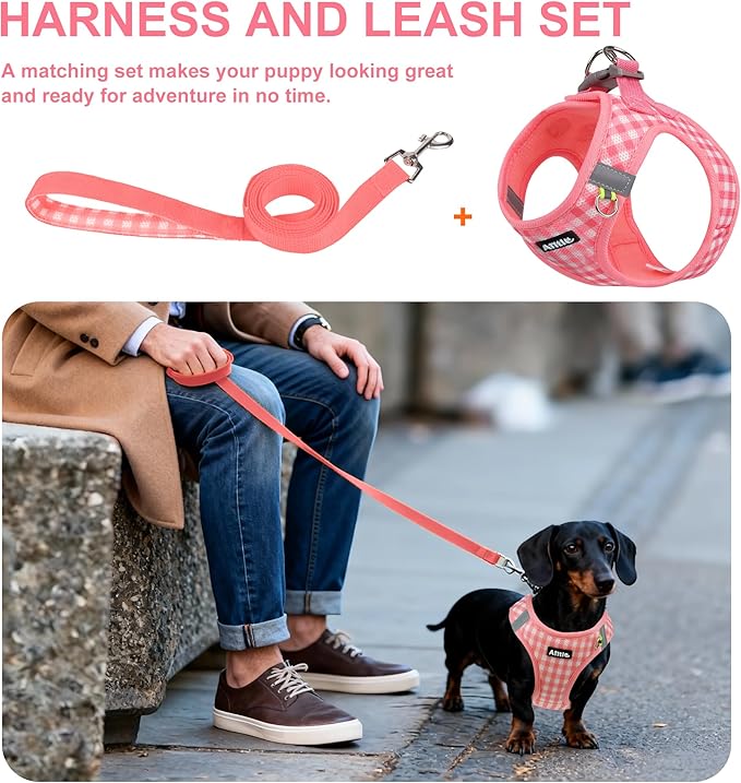 AIITLE Easy Walk Dog Vest Harness and Leash Set, Pet Supply No Pull, Breathable Mesh, Reflective Stripes, Adjustable Escape Proof Pet Outdoor Harnesses for Medium Dogs Watermelon L