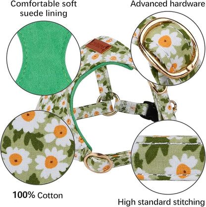 CHEDE No Pull Floral Pattern Dog Harness- Lightweight and Soft, Adjustable Small Dog Harness and Leash Set, with Dog Leash, Suitable for Puppy Small and Medium-Sized Dog (M, Green Daisy)