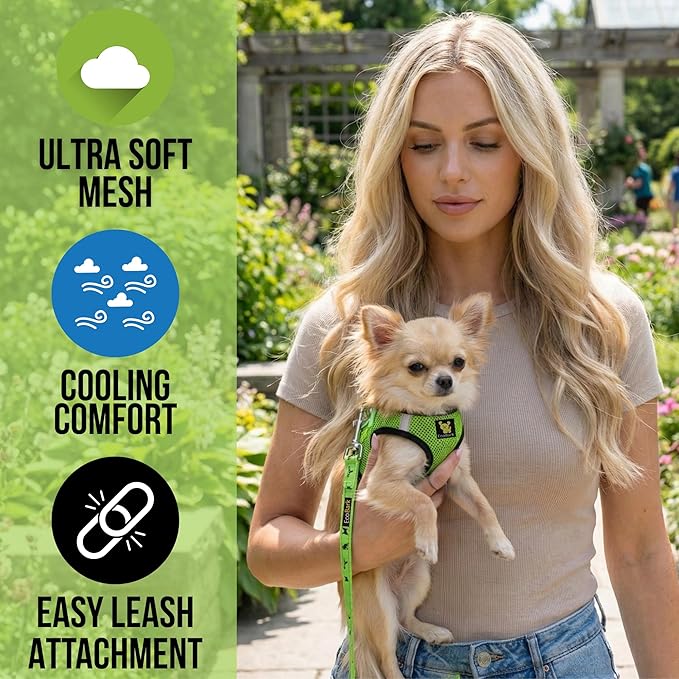 EcoBark Step in Dog Harness - Eco-Friendly Teacup Dog Harnesses for XXS, XS, and Small Dogs - Reflective and Adjustable Mini Body Halter Vest -Tiny Soft Mesh Toy Breed Harness (Neon Green, XXXS)