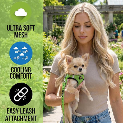 EcoBark Step in Dog Harness - Eco-Friendly Teacup Dog Harnesses for XXS, XS, and Small Dogs - Reflective and Adjustable Mini Body Halter Vest -Tiny Soft Mesh Toy Breed Harness (Neon Green, XXXS)