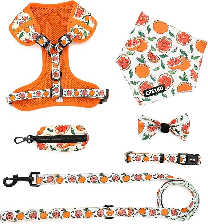 Small Dog Harness and Leash Set of 6, No Pull Soft Lightweight Mesh Puppy Harness， Adjustable Cute Floral Pattern Pet Harness for Small Medium Dogs (Orange, L)