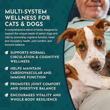 Animal Essentials Senior Support for Dogs & Cats Supplement - Milk Thistle, For Old Cats & Dogs, Pet Kidney Support, Herbal Supplement - 1 Fl Oz