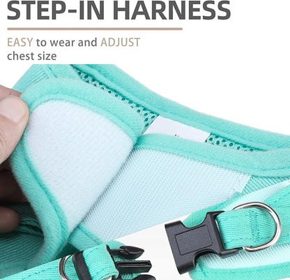 PUPTECK Dog Harness and Leash Set for Small Medium Dogs No Pull Step-in Soft Mesh Puppy Cat Vest Harnesses Reflective at Night, Denim Green L