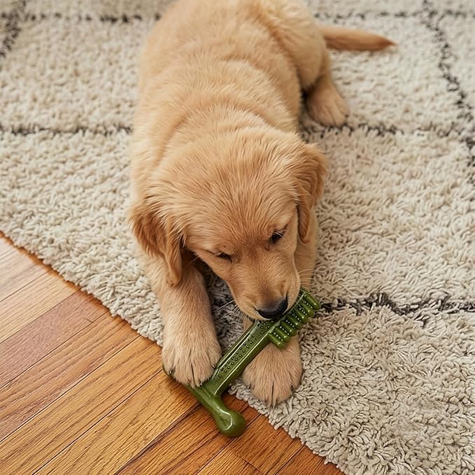 SPOT Bam-Bones Plus Toothbrush Dog Chew Toy for Small Dogs 10–30 lbs, Bamboo & Nylon Dental Chew with Mint & Baking Soda, Cleans Teeth & Freshens Breath, for Moderate to Heavy Chewers, 4 Inch