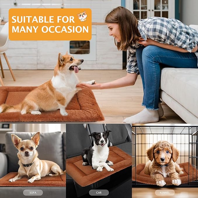 Reversible Dog Bed Mat with Plush and Corn Velvet,Soft Warm Pet Cushion, Dual Purpose Washable Sleeping Mattress Bed for Small Medium Large Dog and Cat XB004 (36"x23", Orange)