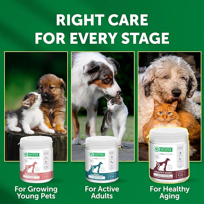 Nature's Protection Hip and Joint Supplement for Dogs - Senior Dog Mineral Supplement Powder for Bone Strength, Energy Boost, and Gut Health for Dogs & Cats of All Breeds, 9 Oz