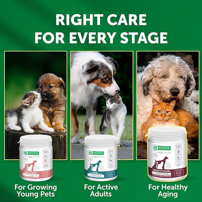 Nature's Protection Hip and Joint Supplement for Dogs - Senior Dog Mineral Supplement Powder for Bone Strength, Energy Boost, and Gut Health for Dogs & Cats of All Breeds, 9 Oz