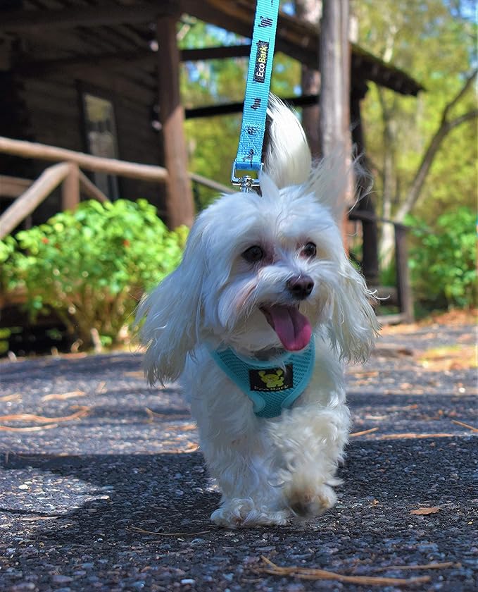 EcoBark Dog Harness - Eco-Friendly Max Comfort Harnesses - Luxurious Soft Mesh Halter - Over The Head Harness Vest- No Pull and No Choke for Small, Toy Breed, and Teacup Dogs (XS, Baby Blue)