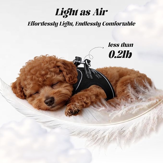 YIMEIS Dog Harness and Leash Set, No Pull Soft Mesh Pet Harness, Reflective Adjustable Puppy Vest for Small Dogs, Cats (M, Black) fit Small