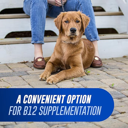 Nutramax Laboratories Cobalequin B12 Supplement for Medium to Large Dogs, 45 Chewable Tablets, Hydrolyzed Chicken, 2.08 ounces