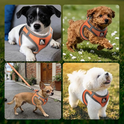 Dog Harness Medium Sized Dogs, Puppy Harness and Leash Set for Training, Running, Walking, Suitable for Small and Medium Dog Vest, Orange, M