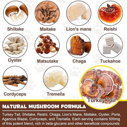 Mushroom Powder for Dogs & Cats, Natural Pet Supplement Mushroom Powder Support Immune, Heart, Brain & Liver with Turkey Tail, Reishi, Lion's Mane for Cellular Protection, Bacon Flavor - 4.23 oz(120g)