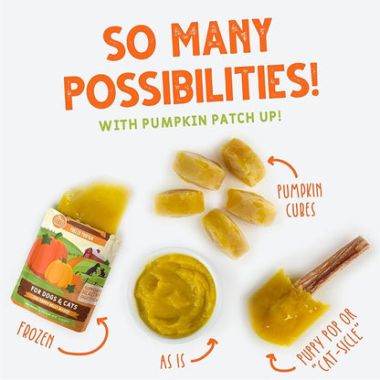 Weruva Pumpkin Patch Up! Pumpkin with Ginger & Turmeric for Dogs & Cats, 1.05oz Pouch (Pack of 12)