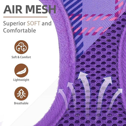 PUPTECK Dog Harness and Leash Set for Small Medium Dogs No Pull Step-in Soft Mesh Puppy Cat Vest Harnesses Reflective at Night, Plaid Pattern Purple M