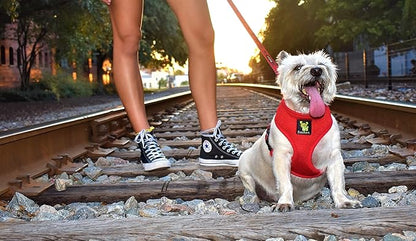 EcoBark Dog Harness - Eco-Friendly Max Comfort Harnesses - Luxurious Soft Mesh Halter - Over The Head Harness Vest- No Pull and No Choke for Puppy, Toy Breeds & Small Dogs (Medium, Red)