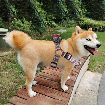 QQPETS Dog Harness Leash Set Adjustable Heavy Duty No Pull Halter Harnesses for Small Medium Large Breed Dogs Back Clip Anti-Twist Perfect for Walking