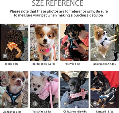 Dog Harness for Small Dogs and Leash Set, Honeycomb Grid, Reflective Lightweight Harness & Anti-Twist Pet Lead (Multi Color, Size: XS-S-M) (XS, Grey)