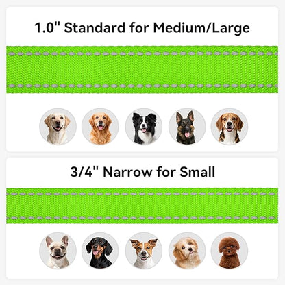 Joytale Dog Leash, 4 FT Double-Sided Reflective, Padded Handle Nylon Heavy Duty Leashes for Medium & Large Dogs Walking, Green