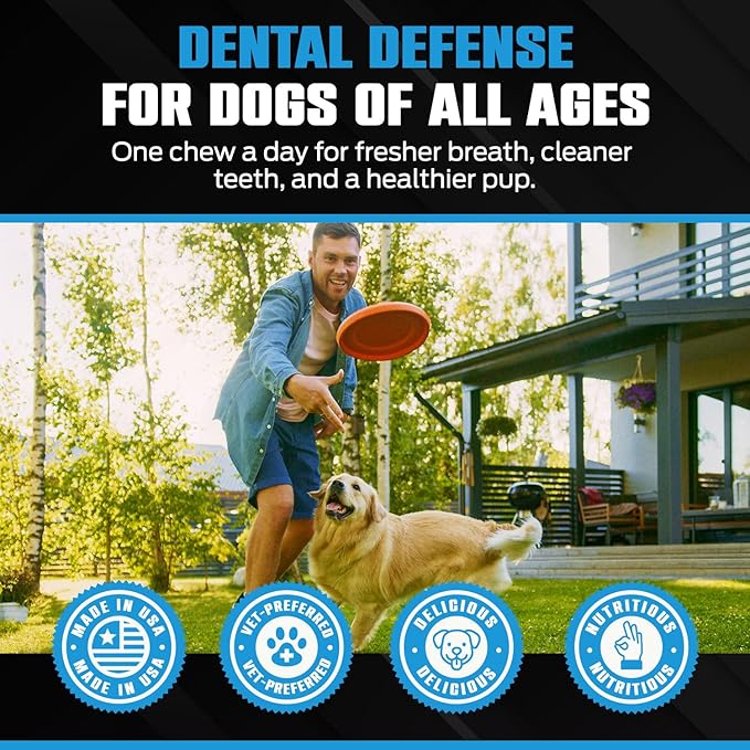 K10 Dental Chews (60 Count) – Low-Calorie Dog Chew with Human-Grade Ingredients – Dog Chews That Support Fresh Breath, Oral Hygiene, Digestion & Vitality – Vet-Preferred Dental Treats for Dogs