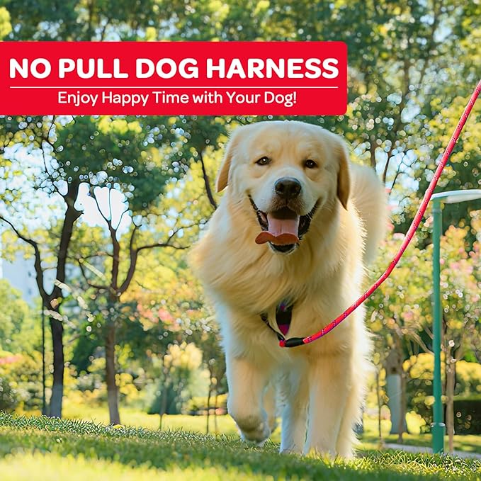 FURRYFECTION Plaid Dog Harness for Small Dogs, Reflective No Pull Adjustable Pet Vest with Front Clip, Leash, Easy Control Handle and Seat Belt, Red, S