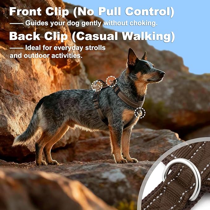 No Pull Dog Harness with Handle, Soft Mesh Padded Adjustable for Small Medium Large Dogs | Reflective Easy Walk Harness with Front Clip for Training, Running & Outdoor (Chocolate, S)