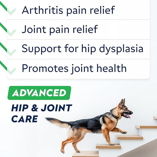 Advanced Glucosamine Hip & Joint Supplement for Senior Dogs - Green Lipped Mussel & Collagen - Hip & Joint Pain Relief - Large & Small Breed - Joint Health - Bacon - 120 Chews