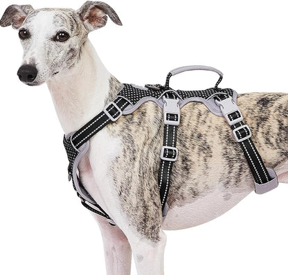 Huntboo Escape Proof Dog Harness, No Pull Reflective Harness with Lift Handle, Adjustable Pet Vest with Front and Back Leash Clips for Small Medium Large Dogs Walking Hiking Training (Black,L)