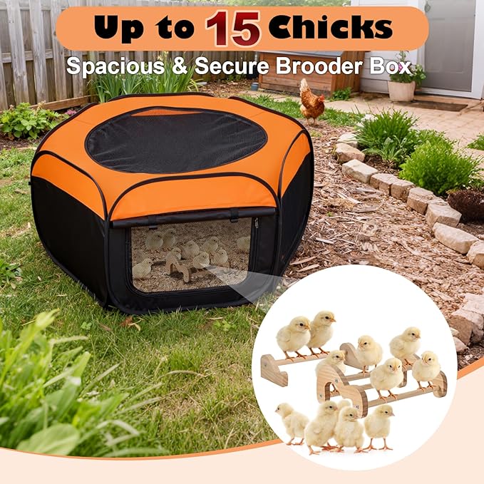 Brooder Box for Chicks, Pop-Up Chicken Brooder Playpen with Dual Doors, Mesh Top Cover & Waterproof Mat, Portable Chick Enclosure for Baby Chicks, Ducks & Quail, Holds Up to 15 Chicks