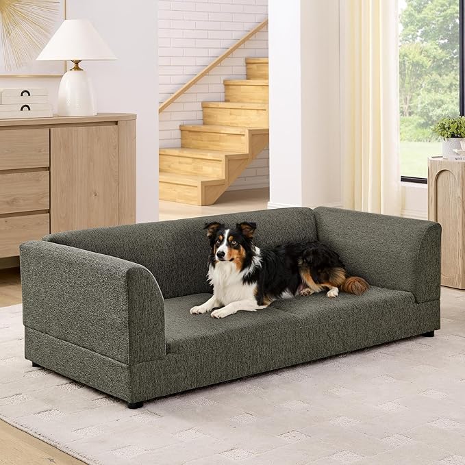 56.5" Dog Sofa Couch for Medium and Large Dogs with Backrest and Armrest, Memory Foam Dog Sofa Bed, Modern Elevated Pet Couch Bed with Legs for Dogs, Dark Grey