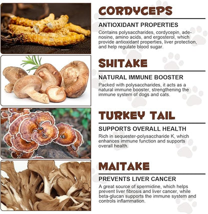 Mushroom Powder for Dogs & Cats, Natural Pet Supplement Mushroom Powder Support Immune, Heart, Brain & Liver with Turkey Tail, Reishi, Lion's Mane for Cellular Protection, Bacon Flavor - 4.23 oz(120g)