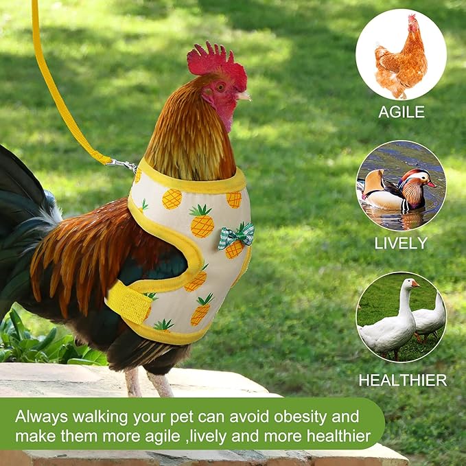 Frienda 2 Pcs Adjustable Chicken Harness and Leash Set Spring Summer Comfortable Elastic Hen Vest Breathable Harness for Hens Duck Goose Pet Training Walking Supplies(Pineapple, Strawberry,Medium)