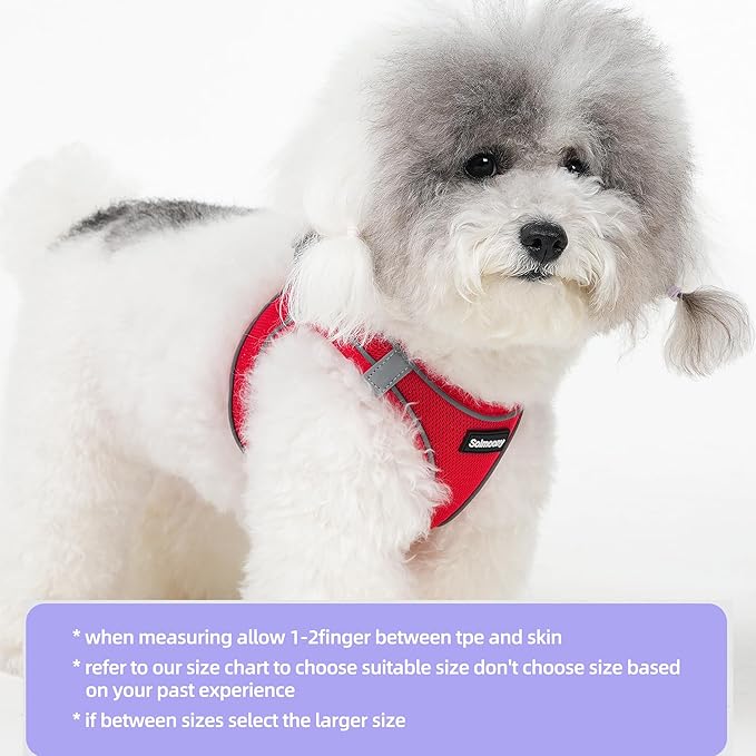 Solmoony Sparkly Small Dog Harness and Leash Set, Step in Soft Light Puppy Vest, Breathable Reflective Pet Harness for Walking, Puppy Harness for Small Dogs Cats (Red, S)