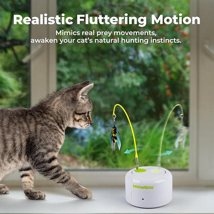 ALL FOR PAWS Interactive Cat Toy, Automatic Fluttering Bug Enrichment Toy for Indoor Kittens, Flying Cat Toy with Motion Sensor, 1 Replacements