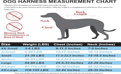 No Pull Reflective Adjustable Dog Harness with Handle- Comfortable Soft All Weather Mesh, Easy On Puppy Harness for Small Medium and Large Dogs (Red) X-Large