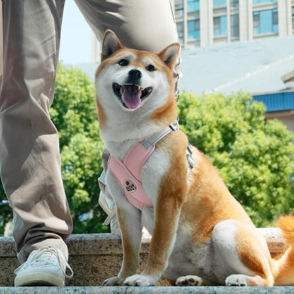 Patas Lague Dog Harness with Leash Set Adjustable Soft Padded Step-in Dog Vest No Choke No Pull Reflective for Medium Pets with Poop Bags and Dispenser, Solid and No-chew, Pink L